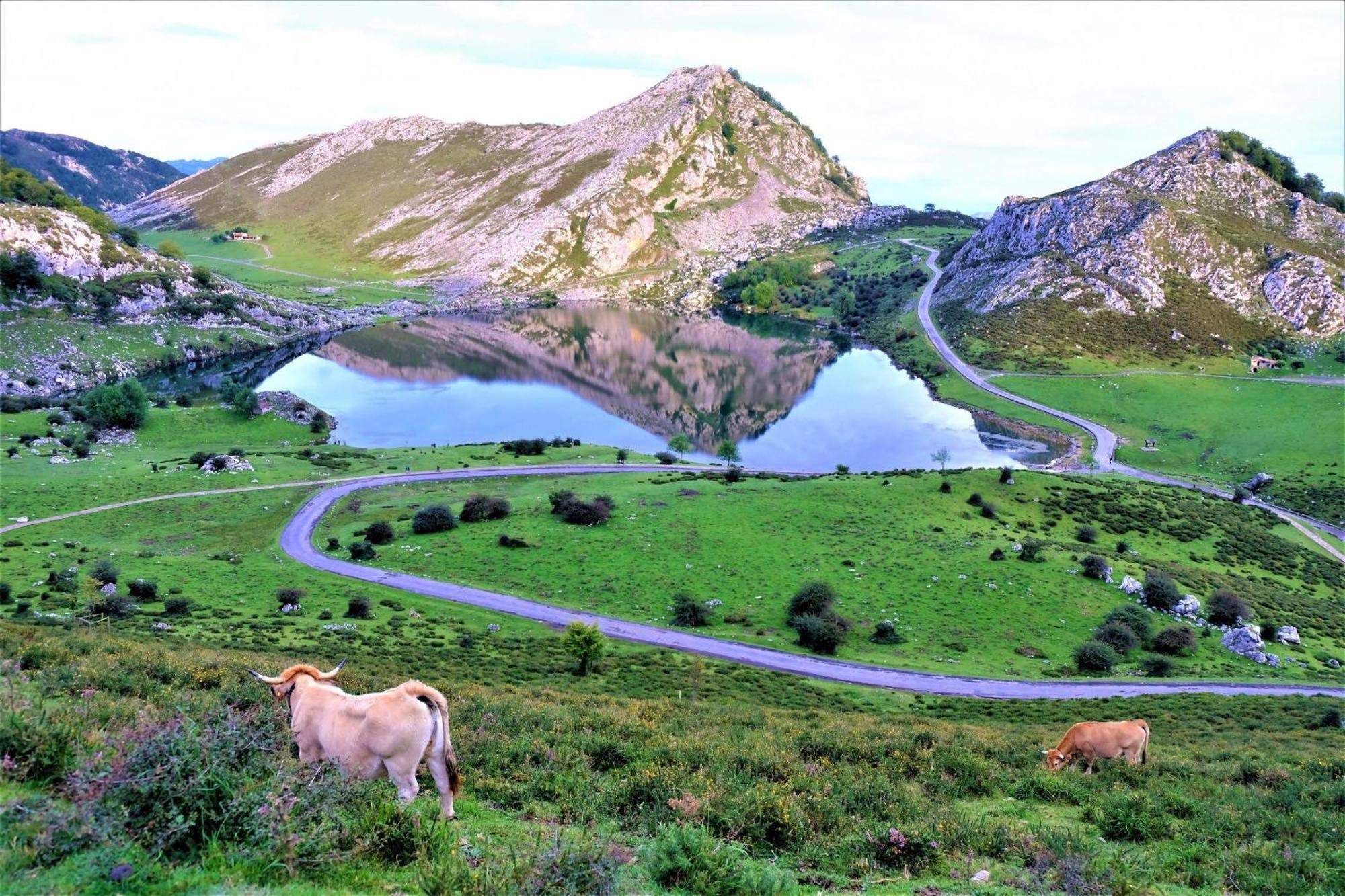 Casa Vacacional Dario Hébergement de vacances